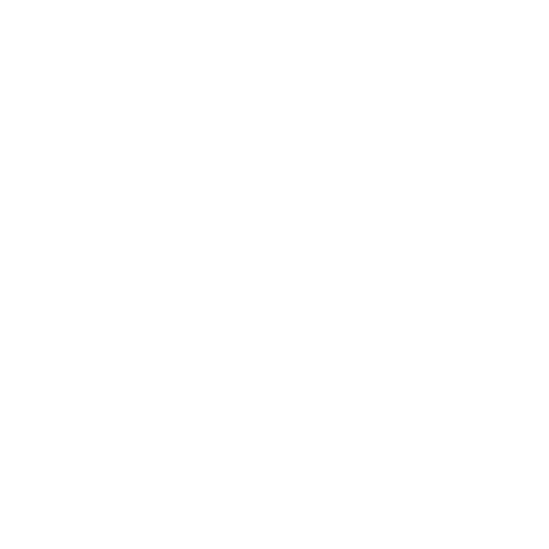 Auto Solution Ks